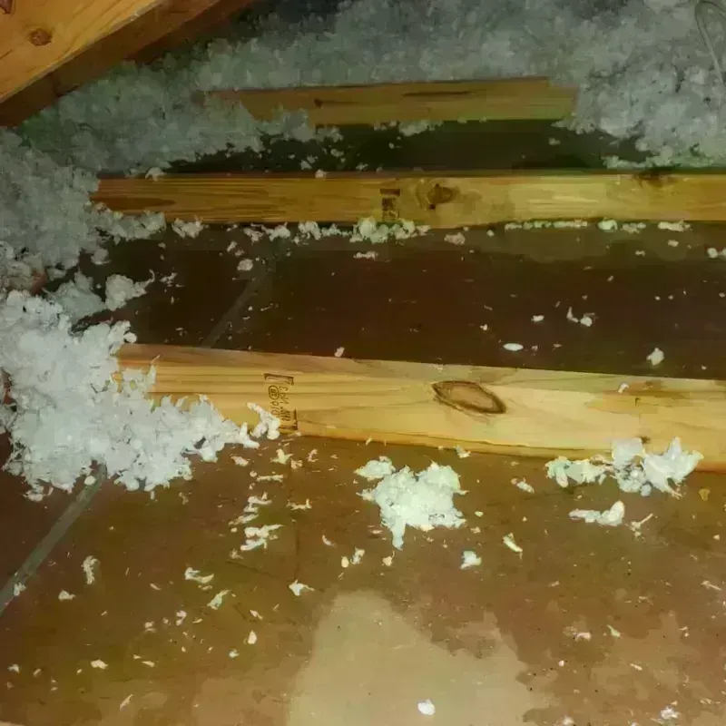 Attic Water Damage in Peach County, GA