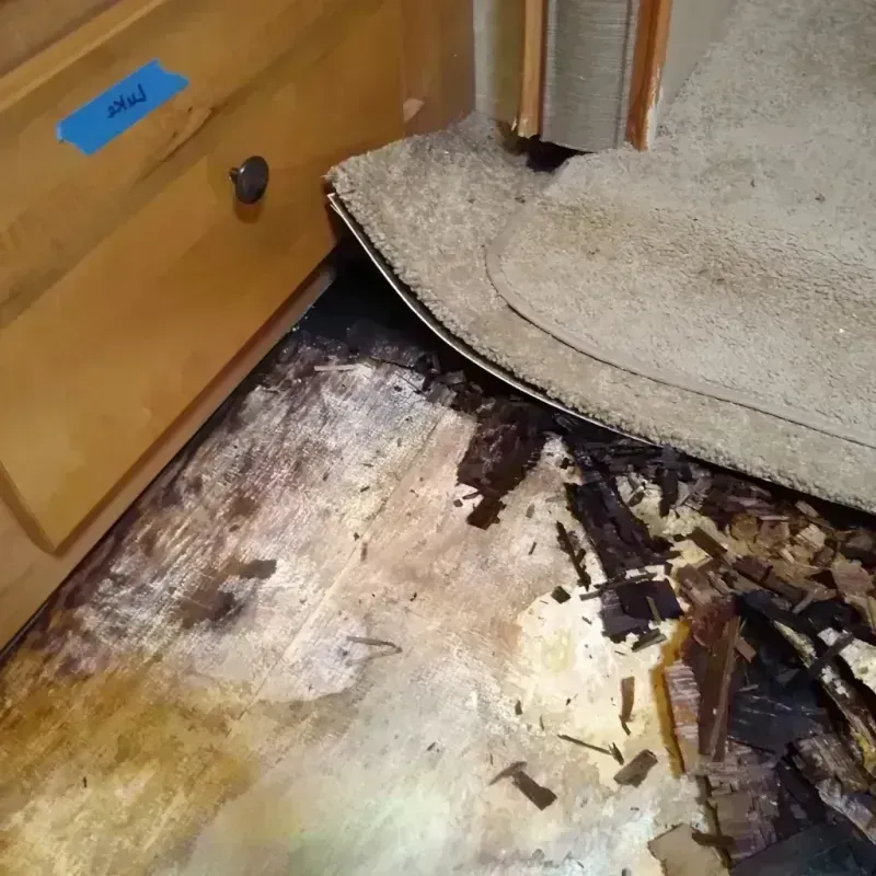 Best Wood Floor Water Damage Service in Peach County, GA